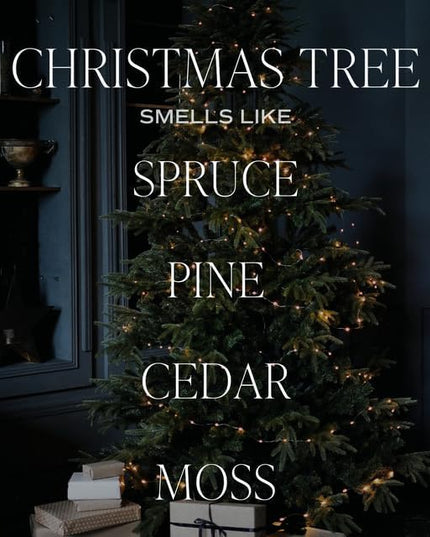 Sweet Water Decor Christmas Tree Reed Diffuser Set - Spruce, Pine Needles, Cedar, and Moss Scented Diffusers - Scent Diffusers for Home, Long Lasting Fragrance, Made in The USA