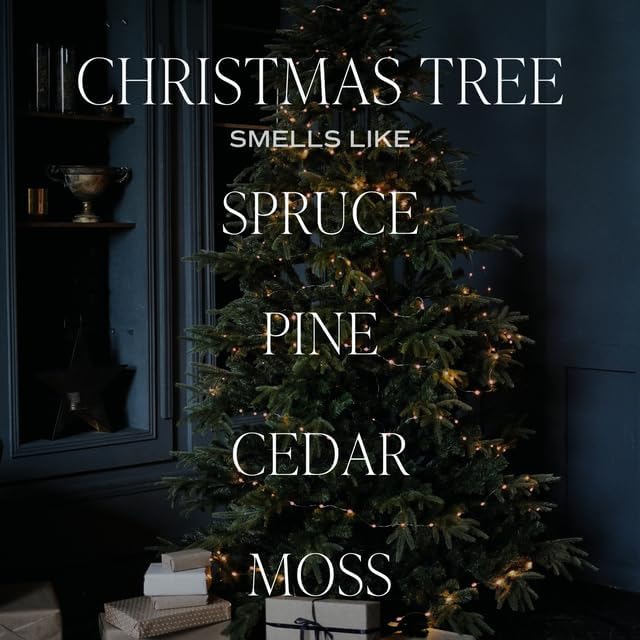 Sweet Water Decor Christmas Tree Reed Diffuser Set - Spruce, Pine Needles, Cedar, and Moss Scented Diffusers - Scent Diffusers for Home, Long Lasting Fragrance, Made in The USA
