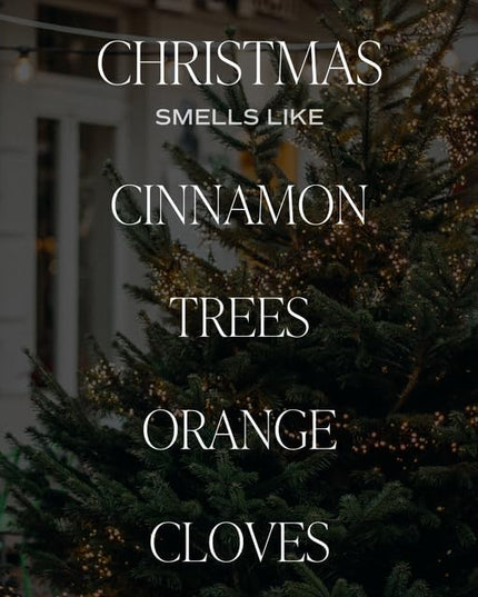 Sweet Water Decor Christmas Reed Diffuser Set - Fresh Cut Trees, Orange, and Cloves Holiday Scent for Home with Long Lasting Fragrance - Non-Toxic Oil Reed Diffuser Made in The USA