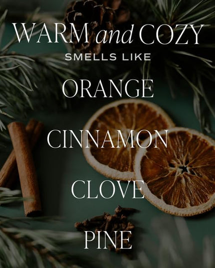 Sweet Water Decor Warm and Cozy Reed Diffuser Set - Orange, Cinnamon, Clove, and Pine Fall and Winter Scented Diffuser - Sandstone Diffusers for Home, Long Lasting Fragrance, Made in The USA