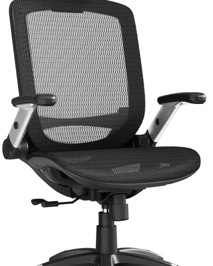 GABRYLLY Ergonomic Office Chair, High Back Home Desk Chair with Headrest, Flip-Up Arms, 90-120° Tilt Lock and Wide Cushion, Big and Tall Mesh Chairs for Man Woman, Black Task Chair