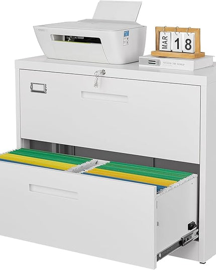 Letaya 2 Drawer Metal Filing Organization Office Cabinets with Lock,Lateral File Cabinets for Home Office Hanging Files Letter/Legal/F4/A4 Size (2 Drawer-White)
