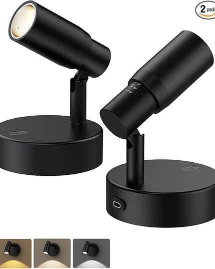 PESUTEN Spot Lights Indoor, Rechargeable Picture Light with Remote, Dimmable CCT Spotlight for Wall Art, 6000mAh Battery Uplights Indoor with Timer for Plant Artwork Painting Sofa Corner Black