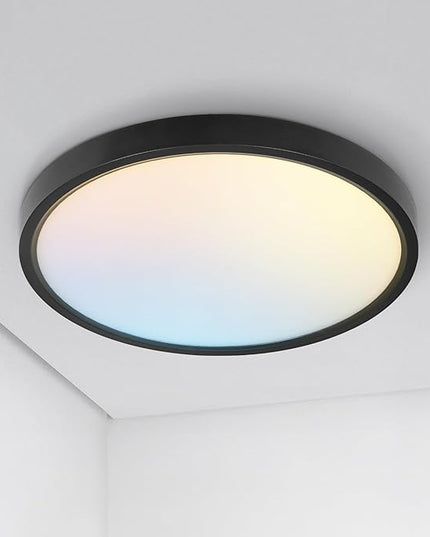 ASD LED 12" Round Flush Mount Ceiling Light Fixture, Low Profile Surface Lighting | 5CCT, Dimmable, Ultra-Thin, ETL Listed | 24W 2000LM 2700-6000K 100-277V | Kitchen, Bedroom, Hallway Lamp | Black
