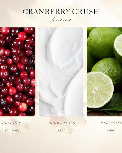 Scentiment Diffuser Oil - Cranberry Crush Fall Collection | Aromatherapy Home Fragrance | Luxurious Scent with Notes of Berries, Ginger, Lime (120ml)