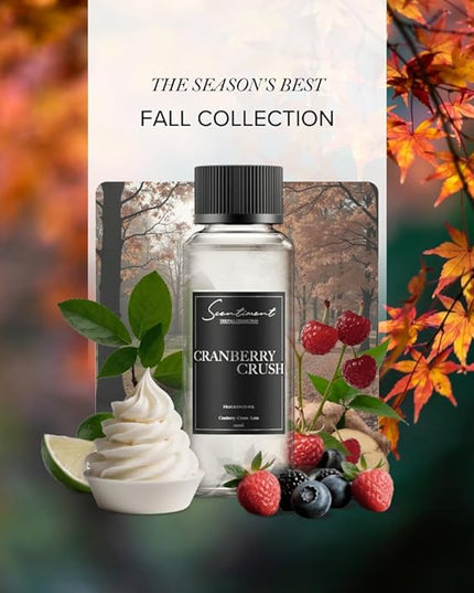 Scentiment Diffuser Oil - Cranberry Crush Fall Collection | Aromatherapy Home Fragrance | Luxurious Scent with Notes of Berries, Ginger, Lime (120ml)