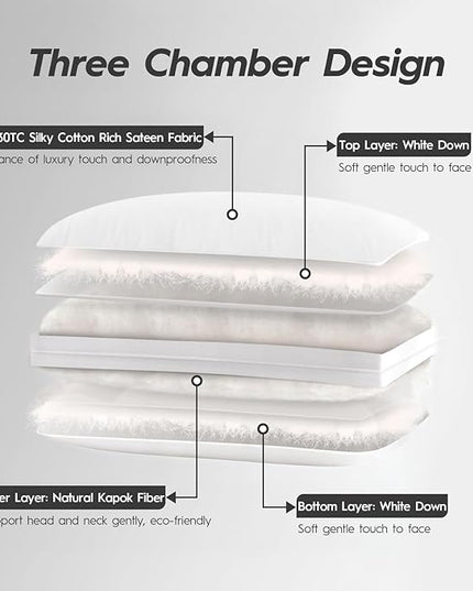 Globon Luxury Down Pillow Queen Size, Firm Hotel Collection Bed Pillow with 100% Cotton Cover, Down Surrounded Feather Pillow, 20x30 Inches (1 Pack)