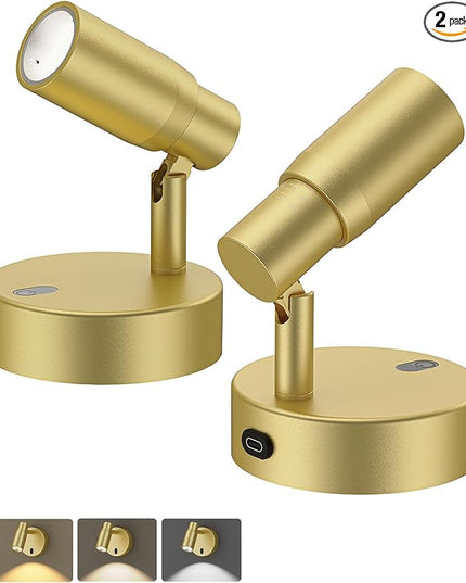 PESUTEN Spot Lights Indoor, Rechargeable Picture Light with Remote, Dimmable CCT Spotlight for Wall Art, 6000mAh Battery Uplights Indoor with Timer for Plant Artwork Painting Sofa Corner Light Gold