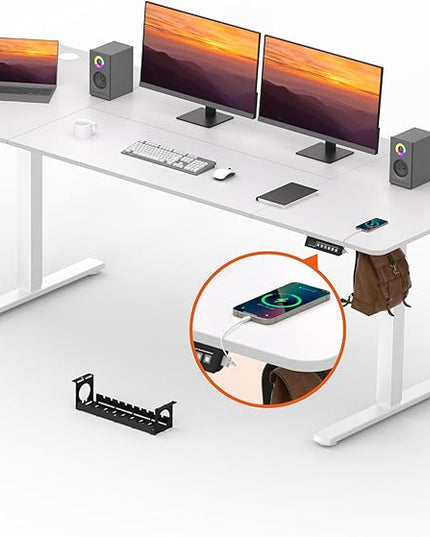 Adjustable Standing Desk, Large 79x31 Inches Standing Desk with Cable Management, Height Adjustable Home Office Computer Desk with Memory Preset&Charging USB Port&Sedentary Reminder