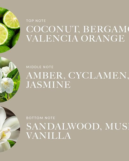 Aroma360 | Disney Down in New Orleans Fragrance Oil Blend | The Princess and The Frog | Princess Tiana | Aromatherapy Scent Diffuser Oil | Coconut Bergamot Valencia Orange 1.7 fl oz 50mL