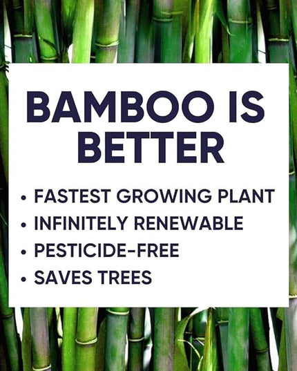 Bamboo Toilet Paper, Paper Towels, and Tissues - Compact Bundle Box for Eco-Friendly Households - 12 rolls bamboo toilet paper, 3 rolls bamboo paper towels, and 2 boxes bamboo facial tissues