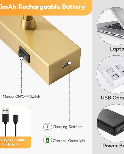 Picture Light for Wall Battery Operated, 20" Rechargeable Art Light with Remote and Timer for Painting, 9000mAh Wireless Wall Light for Display, Artwork, Portrait, Gallery, Gold