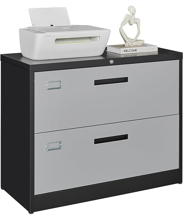 Letaya File Cabinet with Lock-Lateral 2 Drawer Metal Filing Cabinets-Organization Storage Cabinets for Home Office-Hanging Letter/Legal/F4/A4 Size (2 Drawer-Grey Black)