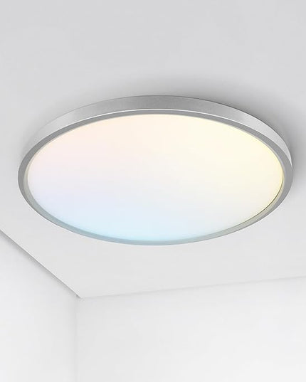 ASD LED 12" Round Flush Mount Ceiling Light Fixture, Low Profile Surface Lighting | 5CCT, Dimmable, Ultra-Thin, ETL Listed | 24W 1900LM 2700-6000K 120V | Kitchen, Bedroom, Hallway Lamp | Nickel