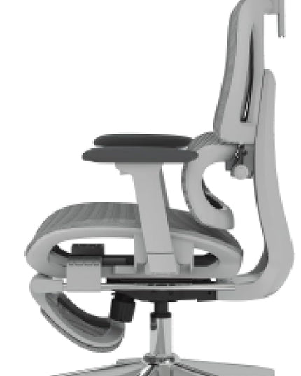 FLEXISPOT ErgoX Premium Ergonomic Office Chair with Footrest- Adjustable 3D Armrests, Dynamic Lumbar Support, Recline & Tilt Function, Mesh Seat, for Home & Office Use,Light Grey