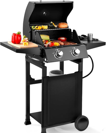 Q039-2-Burner Gas Grill with 234 SQ.IN. Outdoor Grill with 16,000 BTU,Propane Grills with Top Cover Lid,Grills Outdoor Cooking for Camping,Balcony,Patios,Garden