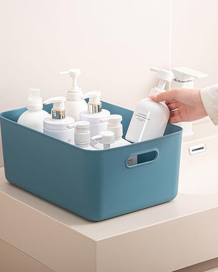 Plastic Storage Bins with lids,Storage Baskets,Container with handle,Storage Organizer Bins for Shelves,Office,Bedrooms,Closets, Cabinets(Blue, 3M)
