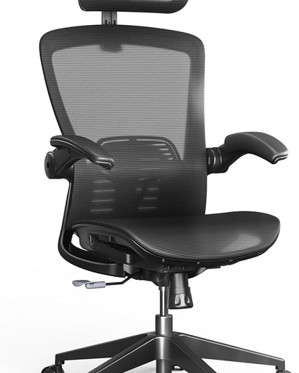 FLEXISPOT OC3 Pro Ergonomic Office Chair High Back Computer Chair with Flip-up Armrest/8-Level Lumbar Support, Breathable Mesh Seat Cushion Backrest, Chairs for Home Office Gaming Working, Black