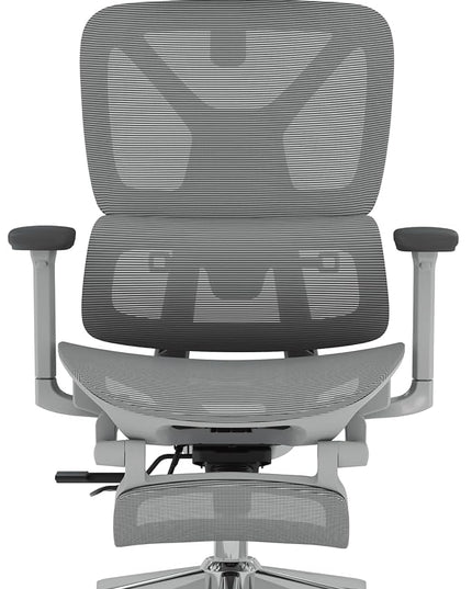 FLEXISPOT ErgoX Premium Ergonomic Office Chair with Footrest- Adjustable 3D Armrests, Dynamic Lumbar Support, Recline & Tilt Function, Mesh Seat, for Home & Office Use,Light Grey