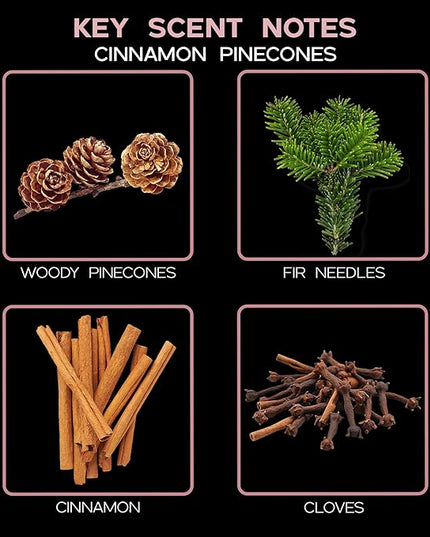 LOVSPA Reed Diffuser Set, Cinnamon Pine Cones Scented Oil Diffuser with Sticks, Home Fragrance Accessories for Bathroom Shelf Decor, Aroma Diffusers for Home or Office Desk, USA Made