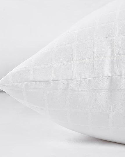 EIUE 2 Pack Queen Size Bed Pillows for Sleeping,Super Soft Down Alternative Microfiber Filled Pillows,20 x 30 Inches,White