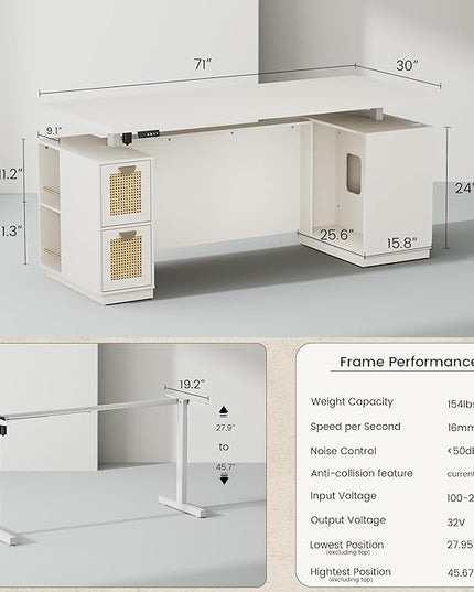 71" Standing Desk with Storage, Large One-Piece Desktop, Electric Height Adjustable Stand Up Executive Desk, Privacy Panel, AC/USB, Host Storage, White Rattan