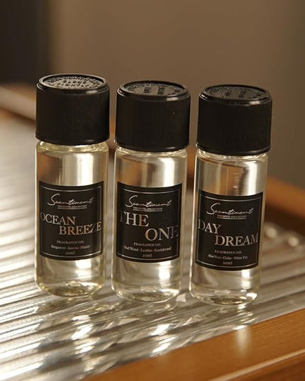 Scentiment Diffuser Oil - Cranberry Crush Fall Collection | Aromatherapy Home Fragrance | Luxurious Scent with Notes of Berries, Ginger, Lime (20ml)