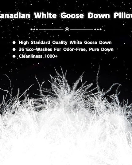 Canadian Goose Down Pillows Queen Size Set of 2,80% Goose Down and 20% Goose Feathers Goose Feathers,1650+ Fill Power White Down Pillow with 800 Thread Count Cotton Shell (White 20"x30" 2 Pack)