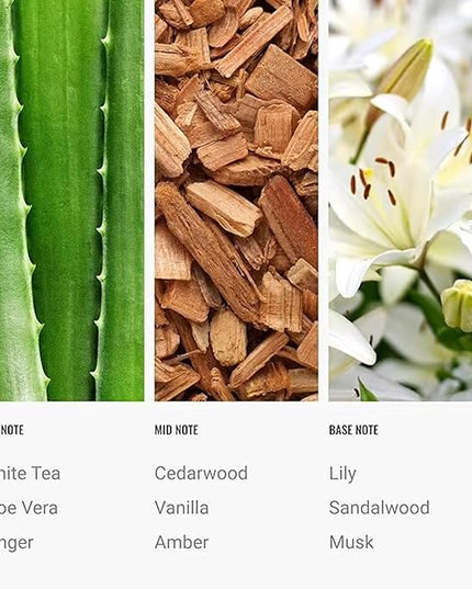 Hotel Scents Day Dream Diffuser Oil 500mL - Aromatherapy Fragrance Inspired by 5-Star Hotels - Notes of Aloe Vera, Ginger, White Tea - Inspired by Westin Hotels - Luxury Home Scents Refill