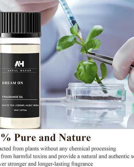 Dream On Essential Oil Scent 50mL - Inspired by Westin Hotel - Home Luxury Scent - Antal Hayat Diffuser Oil - White Tea, Cedarwood, Amber, Musk - Diffuser Oil Blends for Aromatherapy