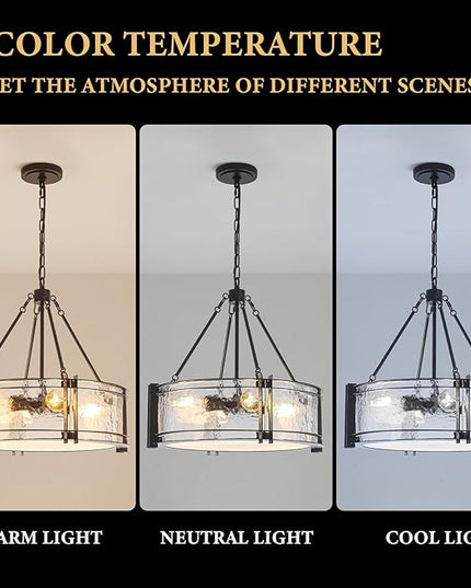 4-Light Black Texture Glass Drum Chandelier, 20.5" Modern Luxury Round Light Fixture for Dining Room Bedroom Foyer Living Room Entryway Kitchen