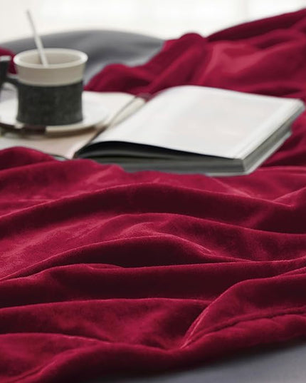 Bedsure GentleSoft Fleece Blanket Twin Size Red - 300GSM Lightweight Plush Fuzzy Cozy Soft Warm Blanket for Bed, Sofa, Couch, Travel, Camping, 60x80 inches