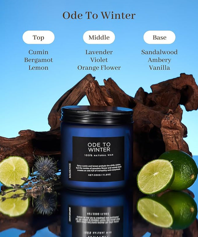 M&SENSE Ode to Winter 11.6oz Natural Soy Wax Non Toxic Candle, Up to 70 Hours Burn Time Winter Scents, 2 Cotton Wick Jar Candle Home Scented Gift
