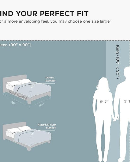 Bedsure GentleSoft Fleece Bed Blankets Queen Size Light Blue - Soft Lightweight Plush Fuzzy Cozy Luxury Blanket Microfiber, 90x90 inches