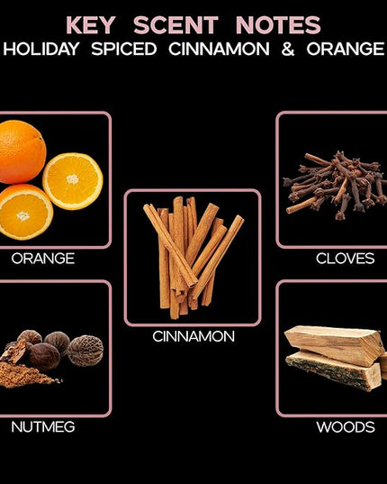 LOVSPA Reed Diffuser Set, Spiced Pomander Orange Cinnamon Scented Oil Diffuser with Sticks, Home Fragrance Accessories for Bathroom Shelf Decor, Aroma Diffusers for Home or Office Desk, USA Made