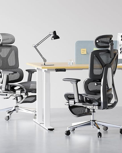 FLEXISPOT ErgoX Premium Ergonomic Office Chair with Footrest- Adjustable 3D Armrests, Dynamic Lumbar Support, Recline & Tilt Function, Mesh Seat, for Home & Office Use,Dark Grey
