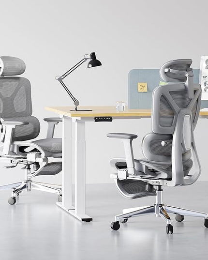 FLEXISPOT ErgoX Premium Ergonomic Office Chair with Footrest- Adjustable 3D Armrests, Dynamic Lumbar Support, Recline & Tilt Function, Mesh Seat, for Home & Office Use,Light Grey