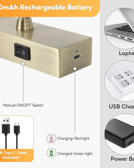 Picture Light for Wall Battery Operated, 12" Rechargeable Art Light with Remote and Timer for Painting, 3 Color Temps, Wireless Wall Light for Display, Artwork, Portrait, Gallery, Bronze