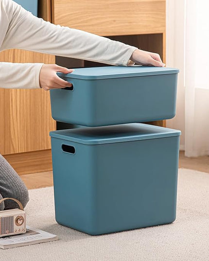 Plastic Storage Bins with lids,Storage Baskets,Container with handle,Storage Organizer Bins for Shelves,Office,Bedrooms,Closets, Cabinets(Blue, 3M)