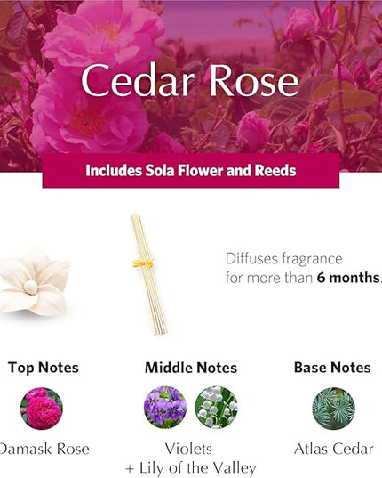Cedar Rose Holiday PetiteEssence Diffuser, 1.7oz