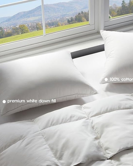 Globon Ultra Soft Down Pillow Queen Size, All Down Filled Bed Pillow for Sleeping, 100% Cotton Shell 500 Thread Count 700 Fill Power, Soft Hotel Collection Down Feather Pillow 20" x 30" 1 Pack