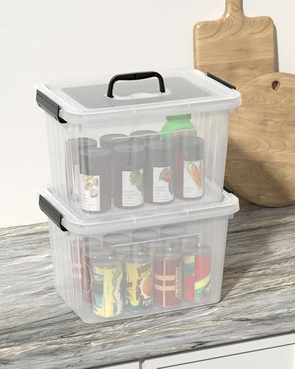 Obstnny 20 L Plastic Storage Box with Handle, 4-Pack Clear Latching Storage Bin