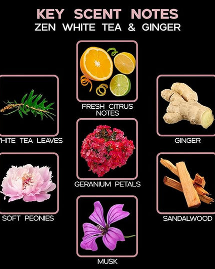 LOVSPA Reed Diffuser Set, Zen White Tea & Ginger Scented Oil Diffuser with Sticks, Home Fragrance Accessories for Bathroom Shelf Decor, Aroma Diffusers for Home or Office Desk, USA Made