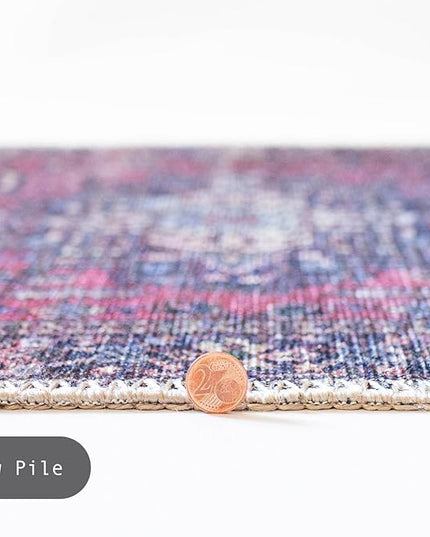 GLN Rugs Traditional Collection - Machine Washable Area Rug, Traditional Washable, Non Slip, Low Pile Chenille Rug, Living Room, Bedroom, Kitchen Rug (3'x5' Multi Blue)