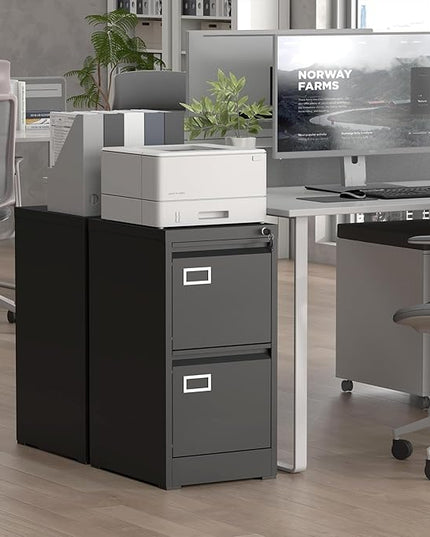 Filing Cabinet,2 Drawer File Cabinet with Lock,Locking File Cabinets for Home Office,Small Filing Cabinet for Letters/Legal/A4,Assembly Required,Black