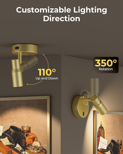 PESUTEN Spot Lights Indoor, Rechargeable Picture Light with Remote, Dimmable CCT Spotlight for Wall Art, 6000mAh Battery Uplights Indoor with Timer for Plant Artwork Painting Sofa Corner Light Gold