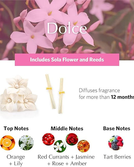 AGRARIA AirEssence Flower and Reed Diffuser Set, Handmade Sola Flower Botanical Home Fragrance Set, Scented Oil Reed Diffuser Gift for All Occasions