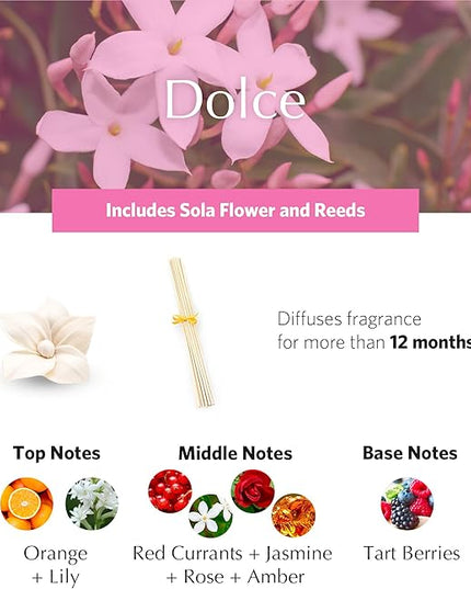 AGRARIA PetiteEssence Flower and Reed Diffuser Set, Hand Crafted Sola Flower Botanical Home Fragrance Set, Scented Oil Gift for All Occasions