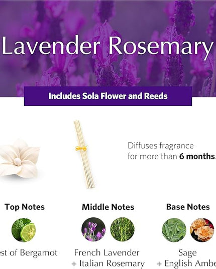 AGRARIA PetiteEssence Flower and Reed Diffuser Set, Hand Crafted Sola Flower Botanical Home Fragrance Set, Scented Oil Gift for All Occasions
