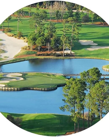 chenchenArt King's North Golf Course Wall Art for Living Room Bedroom Bathroom Home Decorations Myrtle Beach National Club Picture Canvas Prints Modern Artwork Framed Ready to Hang(24''H x 36''W)